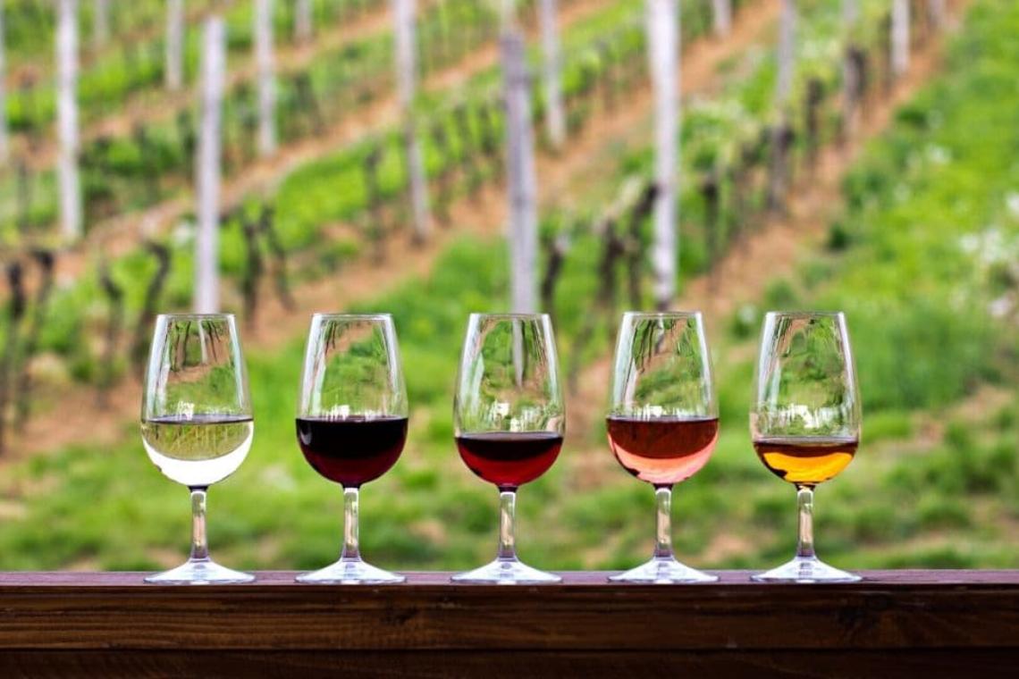 Top 5 des routes des vins pour vos vacances à la voile