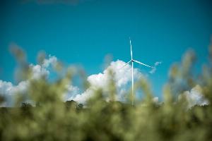 Eco-elegantie op zee: de opkomst van duurzame jachtcharters
