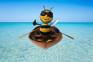 Il piccolo inconveniente: le api