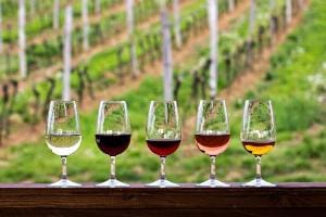 Top 5 wijnroutes voor uw zeilvakantie