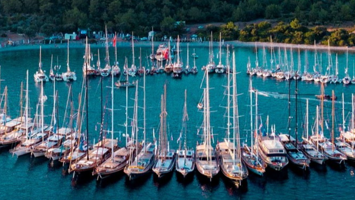 Vido Turizm Telekomünikasyon ve İletişim Hizmetleri Ltd Şti