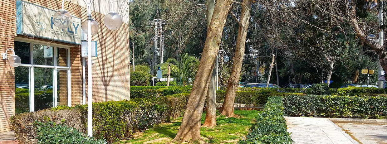 Fyly Yachting and Travel